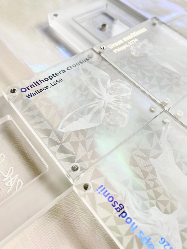 Endangered Species Blusher Duo 5.5g