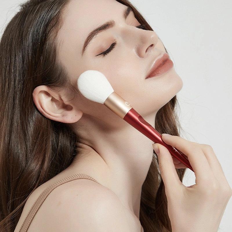 Shang Yang - Beauty Face 10 Brushes Set