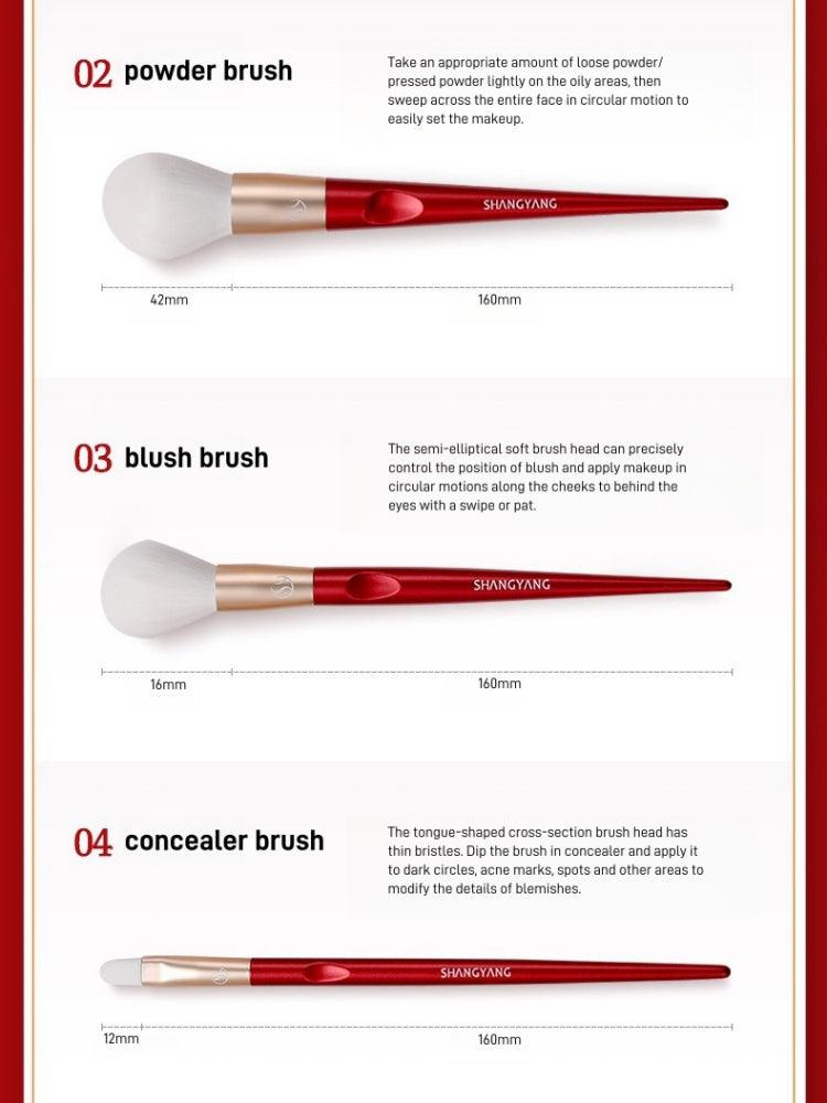 Shang Yang - Beauty Face 10 Brushes Set