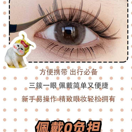 LISHU - A Glue Free False Eyelashes Box