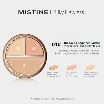 MISTINE - Silky Flawless Concealer 7g