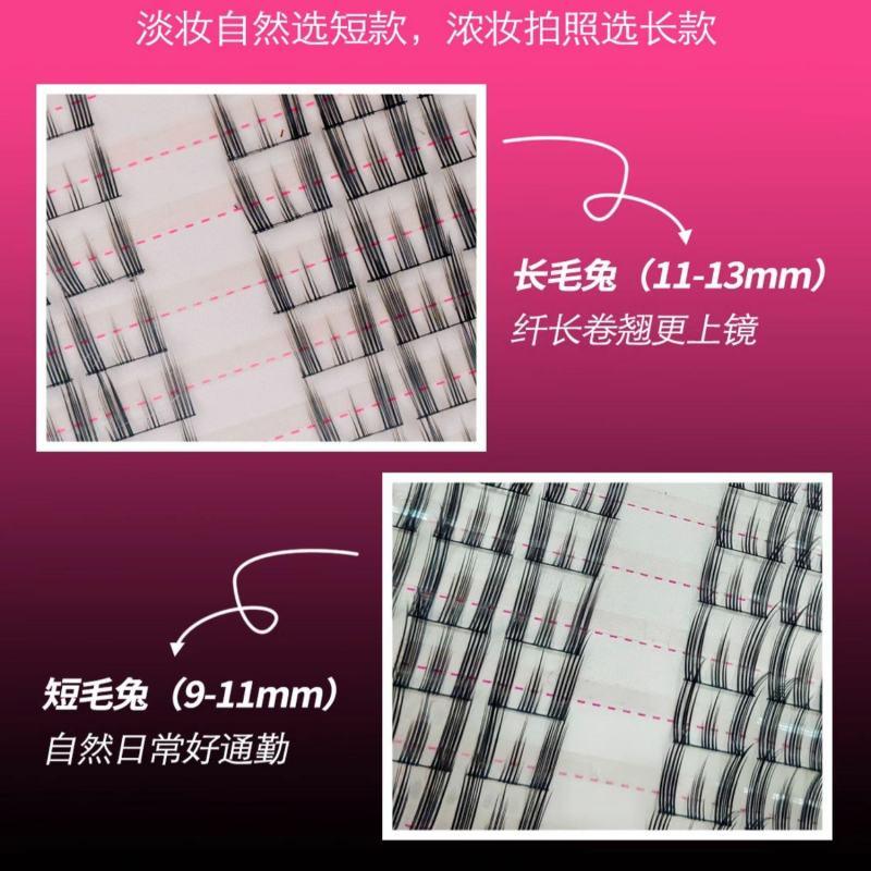 PinkPunk Arrebol 假睫毛