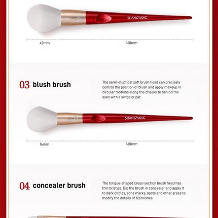 Shang Yang - Beauty Face 10 Brushes Set